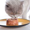 Chia sẻ cách làm pate ức gà cho mèo giàu dinh dưỡng